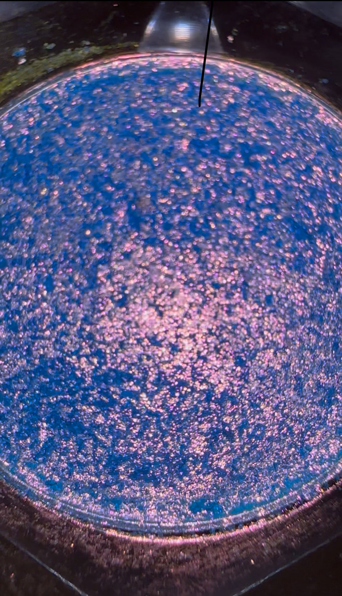 Enchanted Lantern Shimmer Eyeshadows