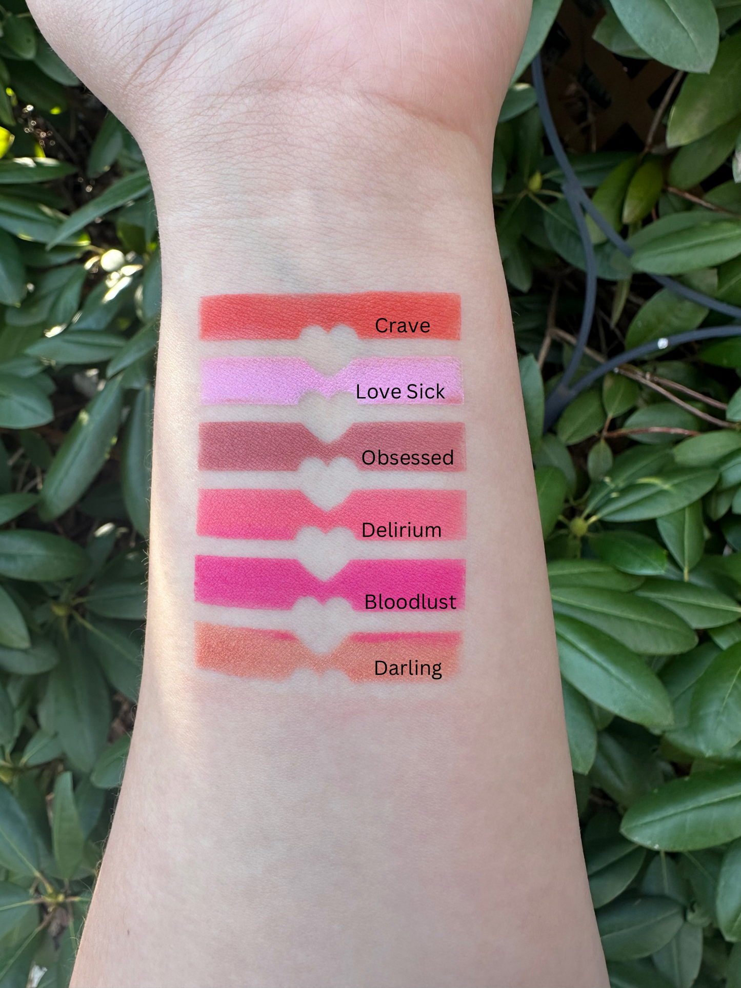 Deadly Devotion Blush (4 for $35)